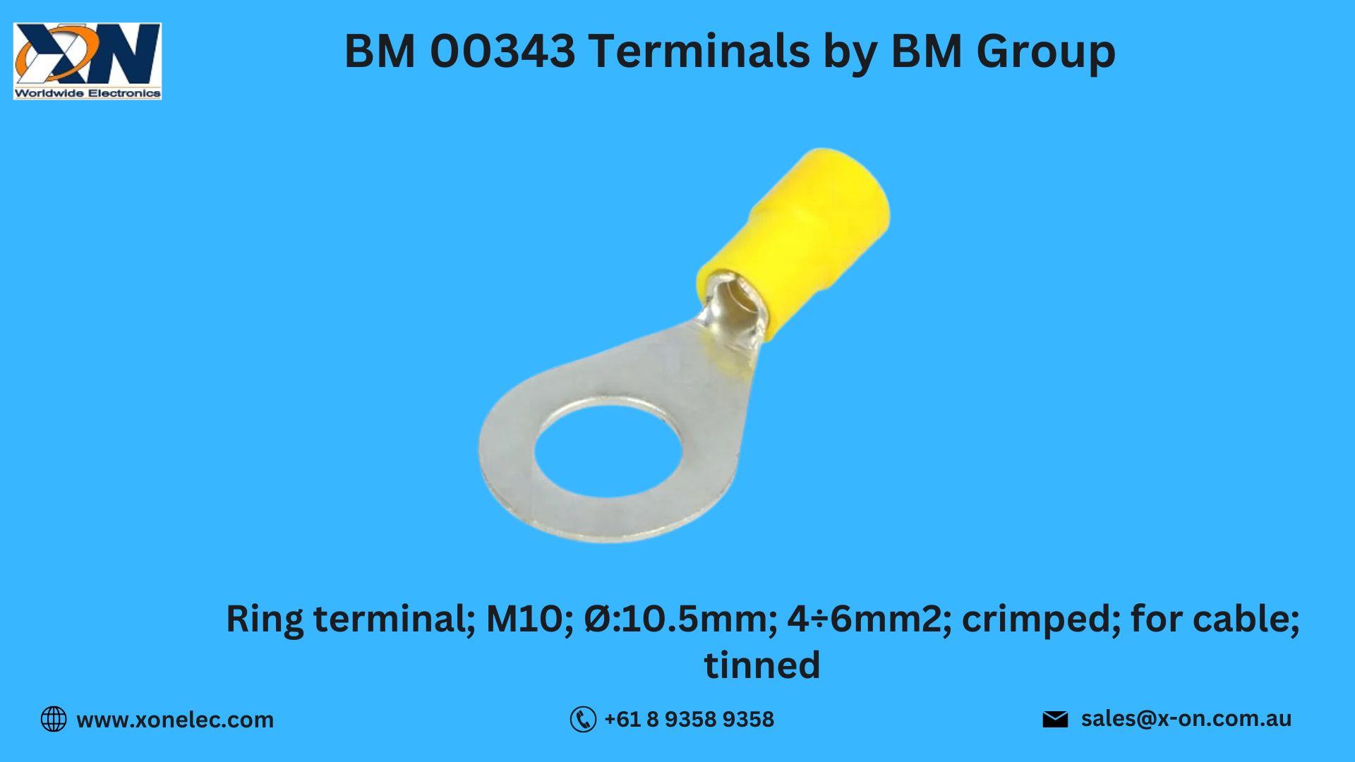 BM 00343 Terminals by BM Group – Buy Online at XON image
